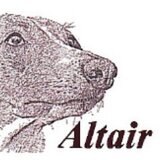 アルタイル　ガジェット