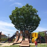 田舎のおかあさん