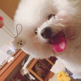 ファンタスティック