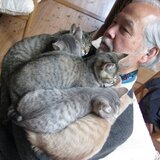 た工房　酒井隆夫