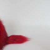 猫のしっぽ