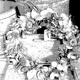 植物と暮らす green