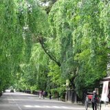 家具工房　柴田