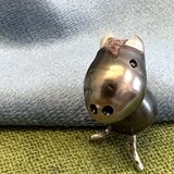 ポエジ（パールジュエリー作家）