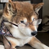 谷合直人