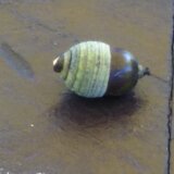 佐々木マサヒロ