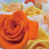 はなの　かほり　(Kukko)