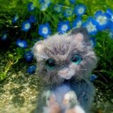 ミラクルランド