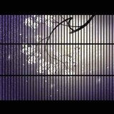和柄UESAKA
