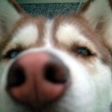 gallery　こはる日和