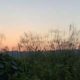 ちくちくうさぎ