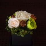 隅花 ーすみかー