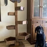 彩工房りょうま