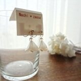 Nachi*zacca