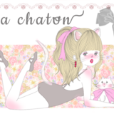 La chaton