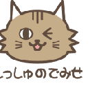 しっしゅのでみせ