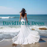 David1021k Dress