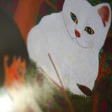 Strolling cat
