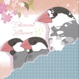 文鳥遊　雛乃