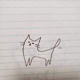 ねこと花