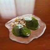 水庭レジン-mizuniwa-