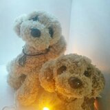 気分屋アニマル雑貨店