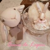 うさぎのしっぽ