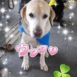 ひな～ん