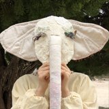 園田雪乃