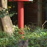 あらもく(荒井木工所)