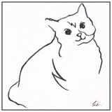 猫しちさん。