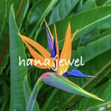hana jewel