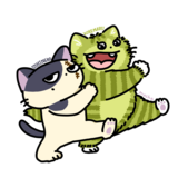 うしねこ/mocha