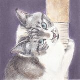 T's Pastel