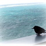 ガラス工房　Pirka