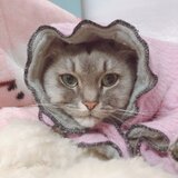 猫おじさんのデカパン屋