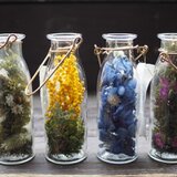 Û＆Ｔｓé（ウーツェ）