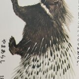 Fureedc