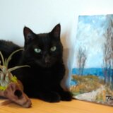  家田保　Ｔ- ieta