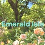バッグとジュエリーEmerald Isle   エメラルドアイル