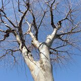 ギャラリー四季彩