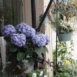 アルカンシエル