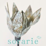 sorarie
