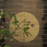 WAZA GU