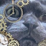 蒸気猫