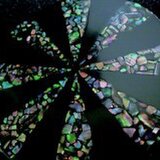 ドナクレドラク　貝と漆の小物たち