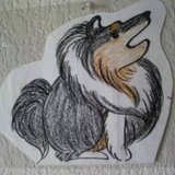 KCOLLIE
