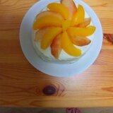 やざわこずえ