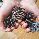 un ninnin　アンナンナン