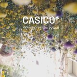casico